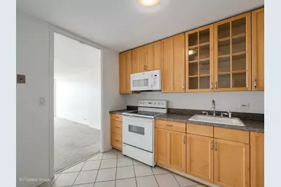 1660 N La Salle Drive #2809, Chicago, IL 60614 - Photo 13