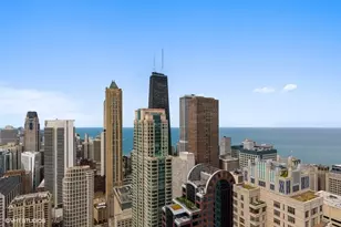 55 E Erie St, Chicago, IL 60610 - Photo 37