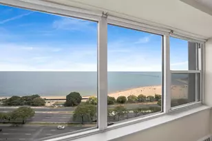 1150 N Lake Shore Dr, Chicago, IL 60611 - Photo 7