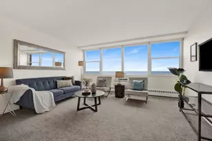 1150 N Lake Shore Dr, Chicago, IL 60611 - Photo 3