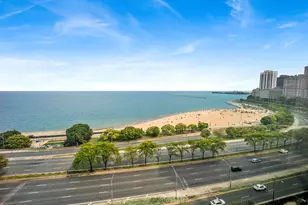 1150 N Lake Shore Dr, Chicago, IL 60611 - Photo 19
