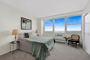 1150 N Lake Shore Dr, Chicago, IL 60611 - Photo 13