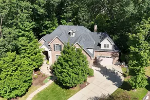 20633 Charmaine Ct, Frankfort, IL 60423 - Photo 1