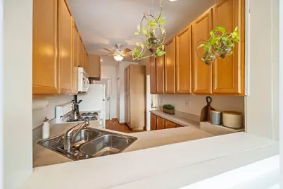 711 Washington Boulevard #2E, Oak Park, IL 60302 - Photo 19