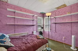 406 W 3rd St, Braidwood, IL 60408 - Photo 33