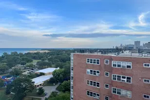 4920 N Marine Dr, Chicago, IL 60640 - Photo 29