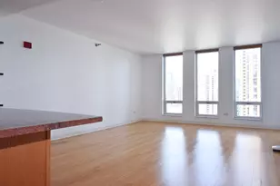 1250 S Michigan Ave, Chicago, IL 60605 - Photo 3
