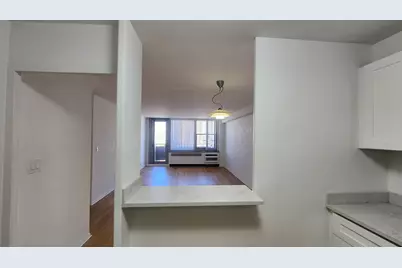 555 W Cornelia Avenue #1301, Chicago, IL 60657 - Photo 15
