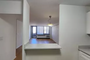 555 W Cornelia Ave, Chicago, IL 60657 - Photo 15