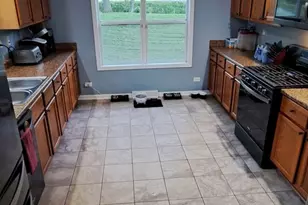 177 E Francis Rd, New Lenox, IL 60451 - Photo 19