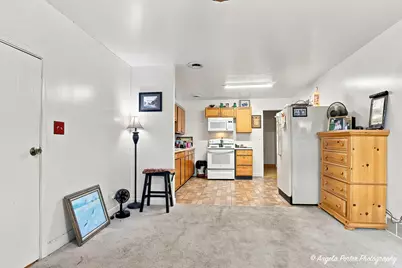 106 W State Road, Island Lake, IL 60042 - Photo 53