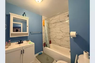 6235 N Francisco Avenue, Chicago, IL 60659 - Photo 51