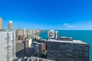 260 E Chestnut St, Chicago, IL 60611 - Photo 3