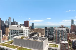 234 W Polk St, Chicago, IL 60607 - Photo 41