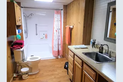 675 Reevesville Road, Grantsburg, IL 62943 - Photo 35