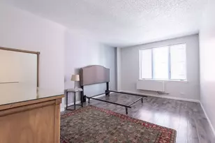 801 S Plymouth Ct, Chicago, IL 60605 - Photo 5