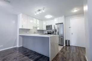 801 S Plymouth Ct, Chicago, IL 60605 - Photo 13