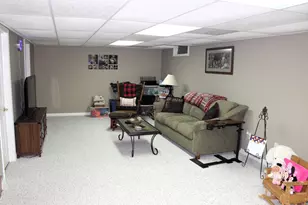 34 Colonial Dr, Clifton, IL 61727 - Photo 35
