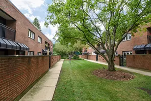 319 N Oak Park Ave, Oak Park, IL 60302 - Photo 53
