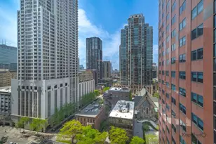 118 E Erie St, Chicago, IL 60611 - Photo 29