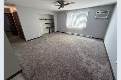 350 N Birch Street, Manteno, IL 60950 - Photo 5