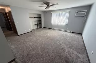 350 N Birch St, Manteno, IL 60950 - Photo 5