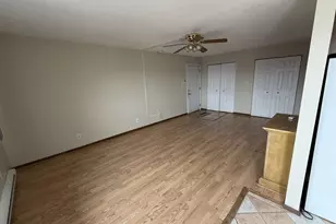 352 N Birch St, Manteno, IL 60950 - Photo 3
