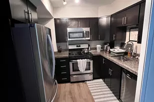 253 E Delaware Pl, Chicago, IL 60611 - Photo 5