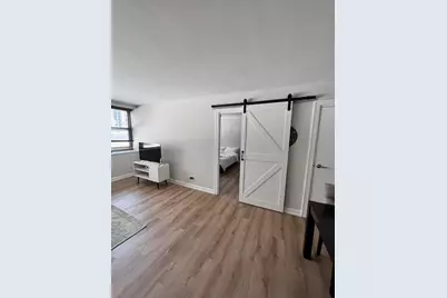 253 E Delaware Place #4C, Chicago, IL 60611 - Photo 9