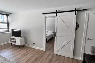253 E Delaware Pl, Chicago, IL 60611 - Photo 9