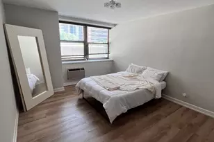 253 E Delaware Pl, Chicago, IL 60611 - Photo 3