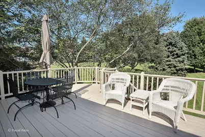 3924 Shiloh Drive, Johnsburg, IL 60051 - Photo 23