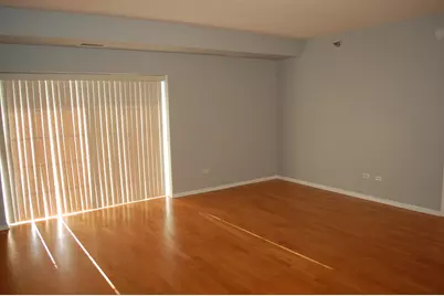 410 W Mahogany Court #503, Palatine, IL 60067 - Photo 9