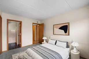 812 S Miller St, Chicago, IL 60607 - Photo 13