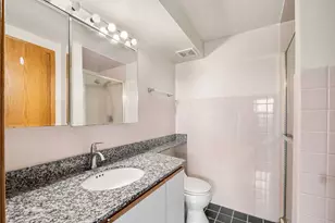 812 S Miller St, Chicago, IL 60607 - Photo 15
