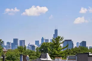 2242 N Seminary Ave, Chicago, IL 60614 - Photo 21