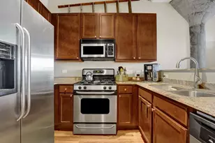 1071 W 15th St, Chicago, IL 60608 - Photo 9