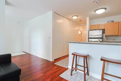 222 N Columbus Drive #302, Chicago, IL 60601 - Photo 7