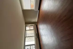 860 N Dewitt Pl, Chicago, IL 60611 - Photo 3