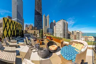 860 N Dewitt Pl, Chicago, IL 60611 - Photo 11