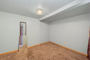 10335 S Hoxie Ave, Chicago, IL 60617 - Photo 19