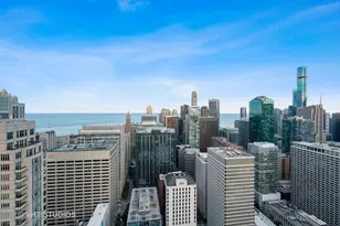 55 E Erie St, Chicago, IL 60611 - Photo 31