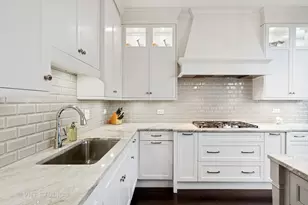 55 E Erie St, Chicago, IL 60611 - Photo 13