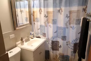 3121 W 85th St, Chicago, IL 60652 - Photo 9