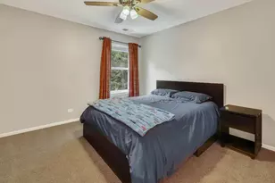 16332 Spring Creek Ln, Plainfield, IL 60586 - Photo 41