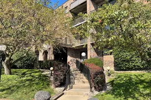 601 W Huntington Commons Rd, Mount Prospect, IL 60056 - Photo 19