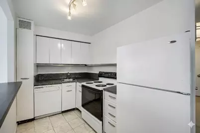 300 N State Street #4026, Chicago, IL 60654 - Photo 3