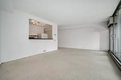 300 N State Street #4026, Chicago, IL 60654 - Photo 5