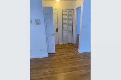 127 E 59th Street #1, Chicago, IL 60637 - Photo 23