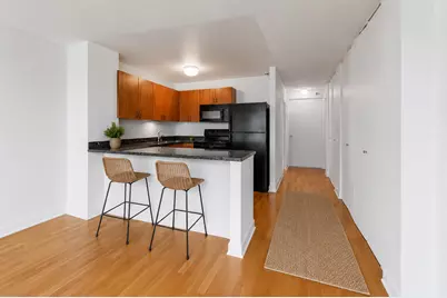 474 N Lake Shore Drive #2007, Chicago, IL 60611 - Photo 3